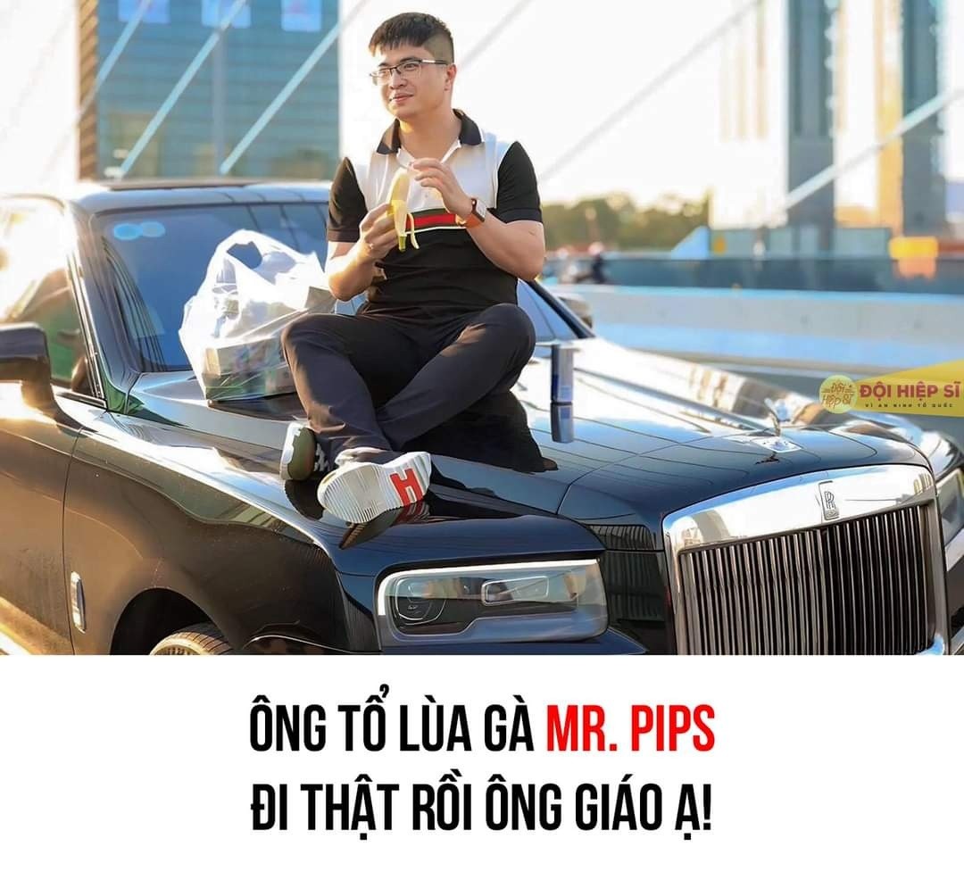 Mr Pips bị bắt - Phông bạt lùa gà có lẽ giờ là lúc đi